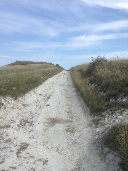 Chalk path--South Downs Way